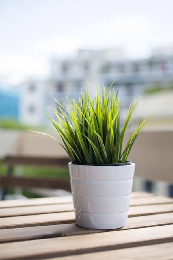Bright Flat Near The Acropolis By Upstreet Apartment *